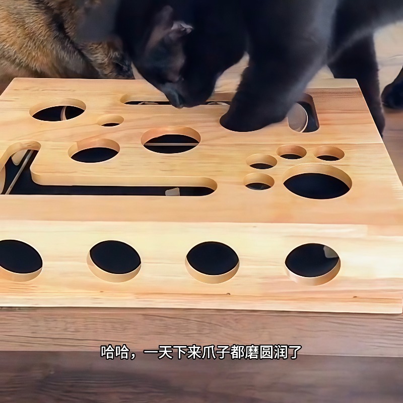 로이 스토어 클로 라비린스 고양이 스크래치 보드 내구성 - Board Game Store 리뷰 및 가격